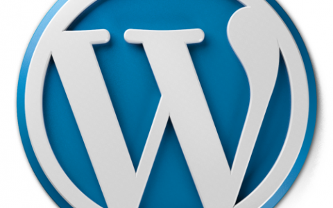 Logo compétences Wordpress Portfolio Valentin Baldioli